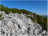 Planina Vetrh - Stegovnik